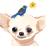 みどり